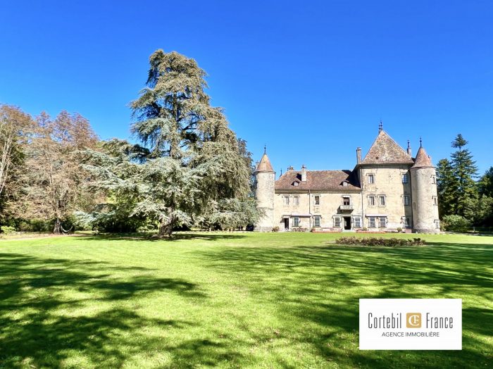 Château à vendre, 34 pièces - Douvaine 74140