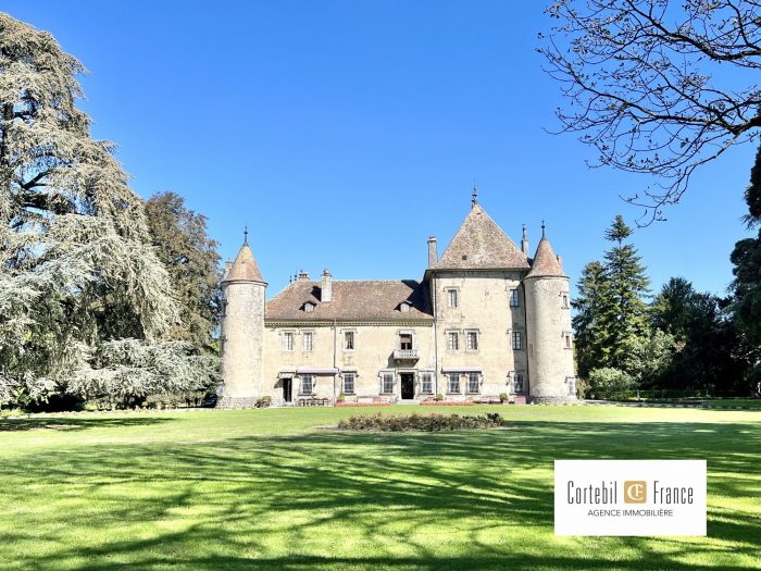 Château à vendre, 34 pièces - Douvaine 74140