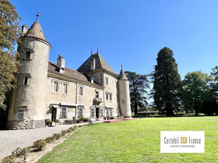 Château à vendre, 34 pièces - Douvaine 74140