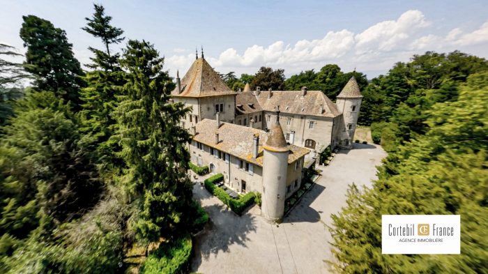 Château à vendre, 34 pièces - Douvaine 74140