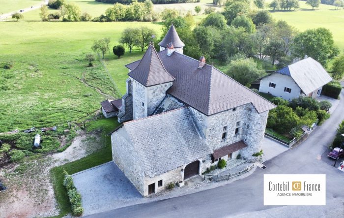 Château à vendre, 5 pièces - Choisy 74330