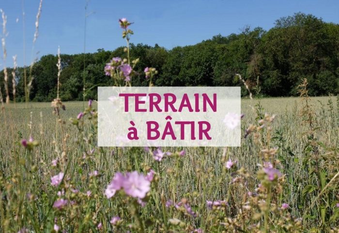 Vente Terrain REININGUE 68950 Haut Rhin FRANCE