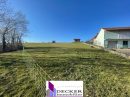 Vente Terrain à Zinswiller (67110) - Decker Immobilier