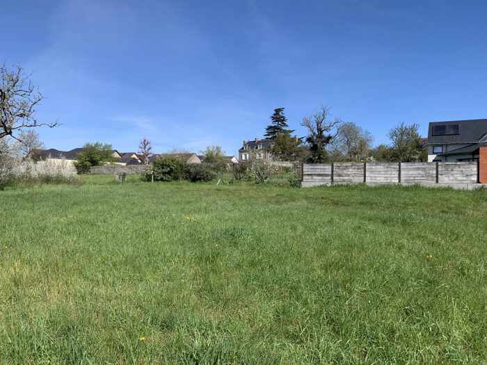 Terrain constructible à vendre, 08 a 10 ca - Beaulieu-sur-Layon 49750