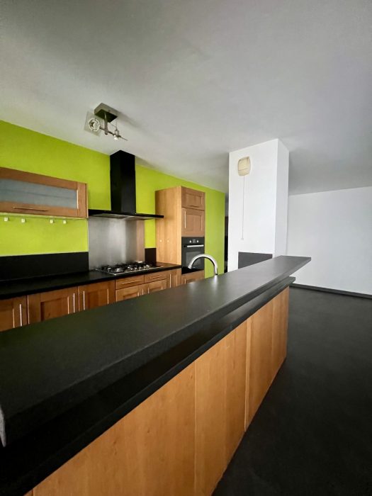 Photo Appartement T3 traversant  proche arsenal image 2/9