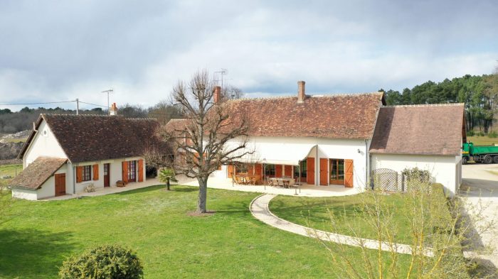 Vente Maison/Villa PRUNIERS-EN-SOLOGNE 41200 Loir et Cher FRANCE