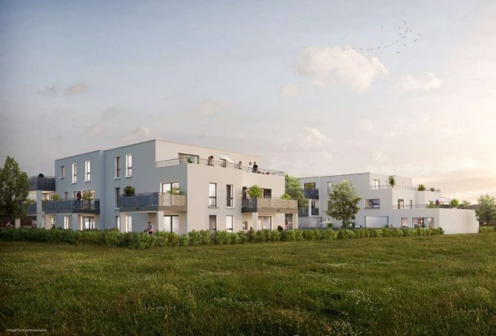  Programme neuf, 51 m² - Dossenheim-sur-Zinsel 67330