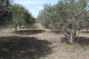 Clermont-l'Hérault Sur les hauteurs de ville  Maison 4 pièces 77 m²