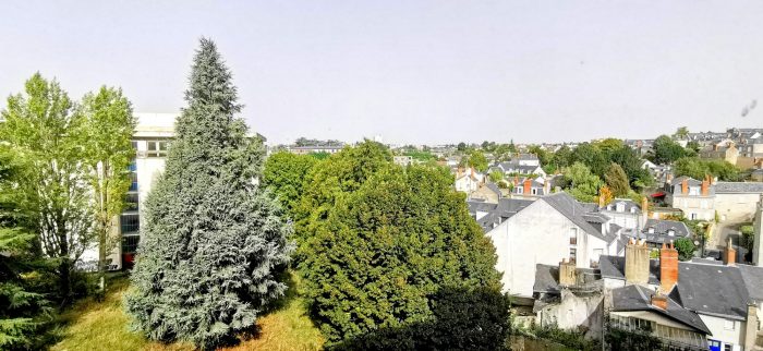 Appartement à vendre en viager, 3 pièces - Blois 41000