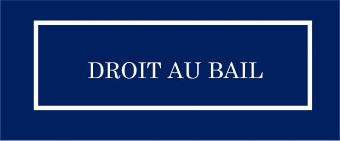 DROIT AU BAIL - VILLEURBANNE GRANDCLEMENT
