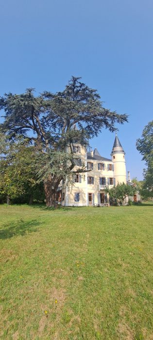 Château à vendre, 17 pièces - Bois-de-la-Pierre 31390