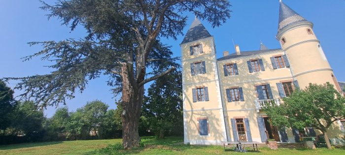 Château à vendre, 17 pièces - Bois-de-la-Pierre 31390