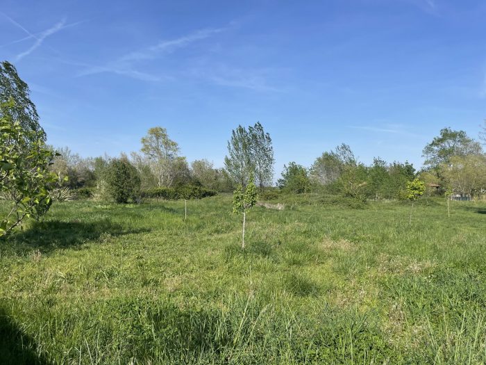 Terrain constructible à vendre, 1408 m² - Lavernose-Lacasse 31410