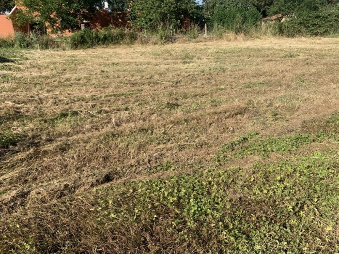 Terrain constructible à vendre, 536 m² - Longages 31410