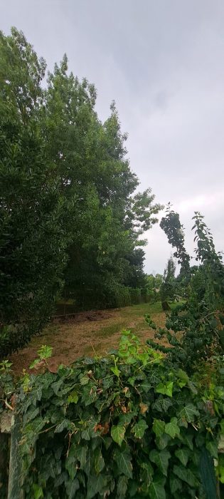 Terrain constructible à vendre, 350 m² - Rieumes 31370