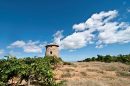  Property <b class='safer_land_value'>120 ha </b> Aude 