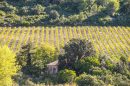  Property <b class='safer_land_value'>30 ha </b> Hérault 