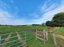  Property <b class='safer_land_value'>40 ha </b> Sarthe 