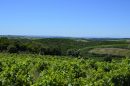  Property <b class='safer_land_value'>05 ha </b> Aude 