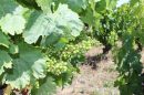  Property <b class='safer_land_value'>05 ha </b> Haute-Garonne 