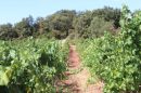  Property <b class='safer_land_value'>05 ha </b> Haute-Garonne 