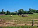  Property <b class='safer_land_value'>36 ha 37 a 36 ca</b> Tarn-et-Garonne 