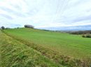  Property <b class='safer_land_value'>36 ha 37 a 36 ca</b> Tarn-et-Garonne 