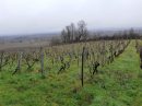  Property <b class='safer_land_value'>22 ha 24 a 93 ca</b> Dordogne 