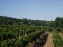  Property <b class='safer_land_value'>22 ha 24 a 93 ca</b> Dordogne 