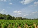  Property <b class='safer_land_value'>13 ha 92 a </b> Hérault 