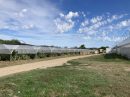  Property <b class='safer_land_value'>22 ha </b> Lot-et-Garonne 