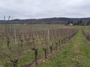  Property <b class='safer_land_value'>99 ha 09 a 43 ca</b> Dordogne 