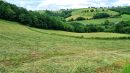  Property <b class='safer_land_value'>40 ha 97 a 63 ca</b> Tarn 