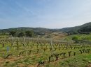  Property <b class='safer_land_value'>36 ha </b> Hérault 