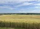  Property <b class='safer_land_value'>56 ha </b> Lot-et-Garonne 