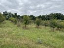  Property <b class='safer_land_value'>29 ha </b> Lot-et-Garonne 