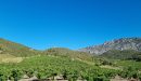  Property <b class='safer_land_value'>21 ha 36 a 15 ca</b> Pyrénées-Orientales 