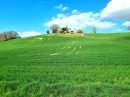  Property <b class='safer_land_value'>42 ha 55 a 66 ca</b> Tarn-et-Garonne 