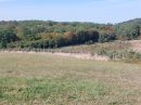  Property <b class='safer_land_value'>40 ha 58 a 64 ca</b> Dordogne 