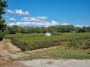  Property <b class='safer_land_value'>07 ha 15 a 28 ca</b> Aude 