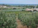  Property <b class='safer_land_value'>22 ha 14 a 70 ca</b> Aude 