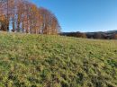 Property <b class='safer_land_value'>50 ha </b> Corrèze 