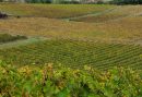  Property <b class='safer_land_value'>29 ha 44 a 46 ca</b> Aude 