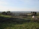  Property <b class='safer_land_value'>07 ha 17 a 88 ca</b> Vienne 