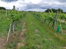  Property <b class='safer_land_value'>110 ha </b> Lot-et-Garonne 