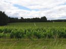  Property <b class='safer_land_value'>110 ha </b> Lot-et-Garonne 