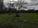  Property <b class='safer_land_value'>07 ha </b> Loire-Atlantique 