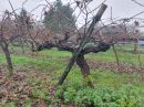  Property <b class='safer_land_value'>05 ha 20 a 72 ca</b> Dordogne 
