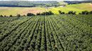  Property <b class='safer_land_value'>50 ha 96 a 55 ca</b> Tarn-et-Garonne 