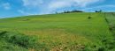  Property <b class='safer_land_value'>49 ha 30 a 28 ca</b> Aude 